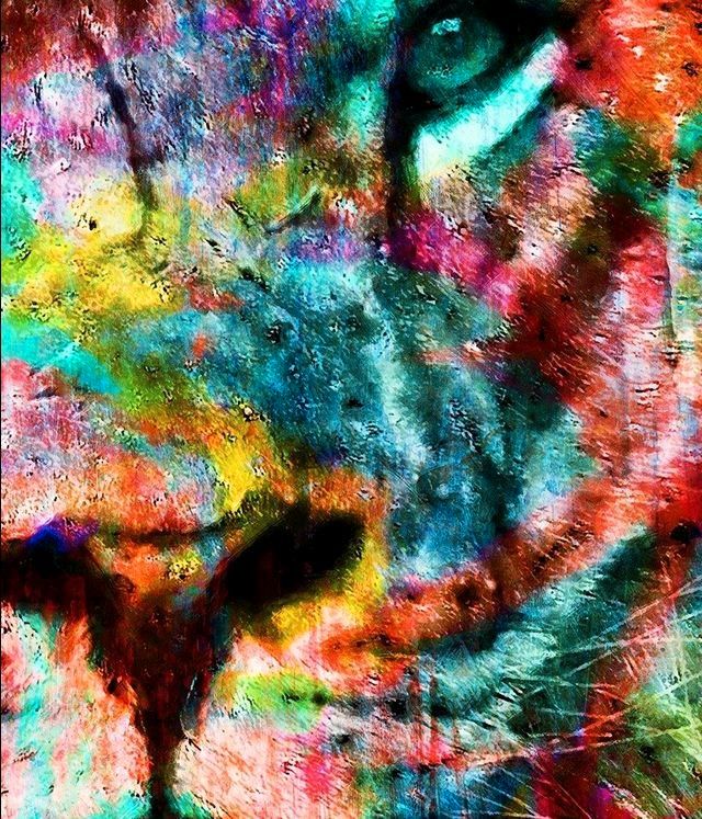 ✅ Wysocky John - Color Lion / 100x70 cm, auf Keilrahmen, Leinwand, Kunstwerk, Gemälde, Acryl, Löwe in Horstmar