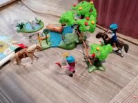 Playmobil Sammlung/ Konvolut Hessen - Biedenkopf Vorschau