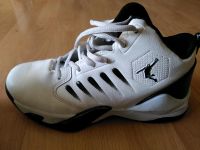 Basketball Turnschuhe Größe 39 Schleswig-Holstein - Groß Schenkenberg Vorschau