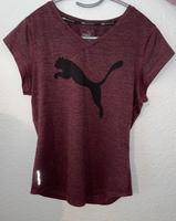 Puma T-Shirt print - purple/lila Schleswig-Holstein - Rendsburg Vorschau