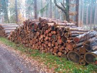 Stammholz Nadelholz Kaminholz Holzstämme Brennholz Schleswig-Holstein - Reinfeld Vorschau