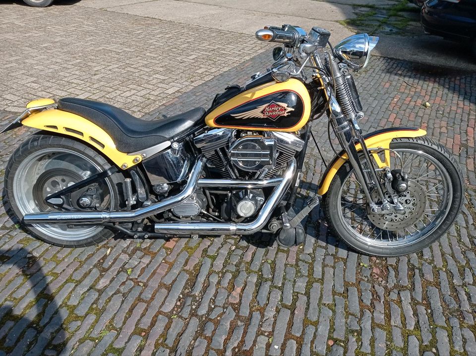 #Harley Davidson Springer Softail FXST Chopper in Apen