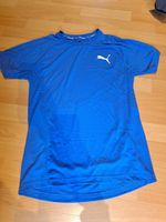 Puma Funktionsshirt blau Gr. S Hannover - Nord Vorschau