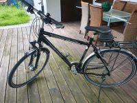 Fahrrad zoll 28 Domingo de Luxe Baden-Württemberg - Leimen Vorschau