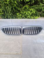 BMW G30, G31 original Niere, Kühler Grill Thüringen - Erfurt Vorschau