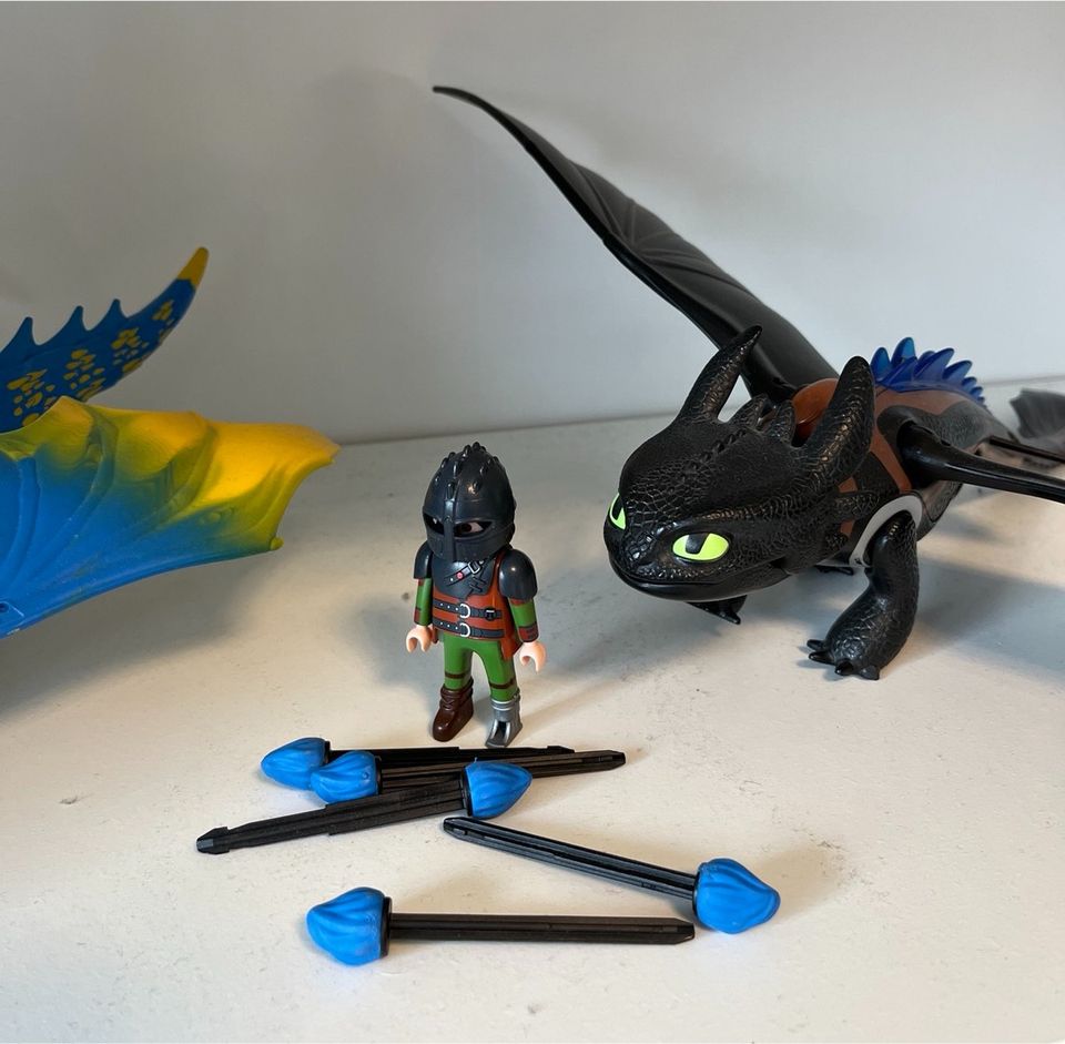 Playmobil Dragons 9246 & 9247 Astrid und Hicks in Tramm