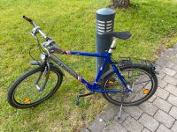 Fahrrad - Reparaturen nötig München - Sendling Vorschau