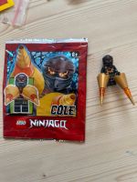 Original Lego NinjaGo Figur Cole 892071 njo612 spinjitzu burst Hessen - Bischofsheim Vorschau