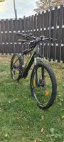 E-Bike Fischer 27,5 Zoll Rheinland-Pfalz - Worms Vorschau