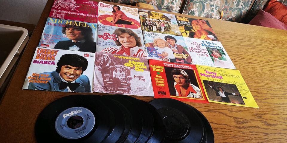 Schallplatten Sammlung (7" Vinyl Singles) in Riegel