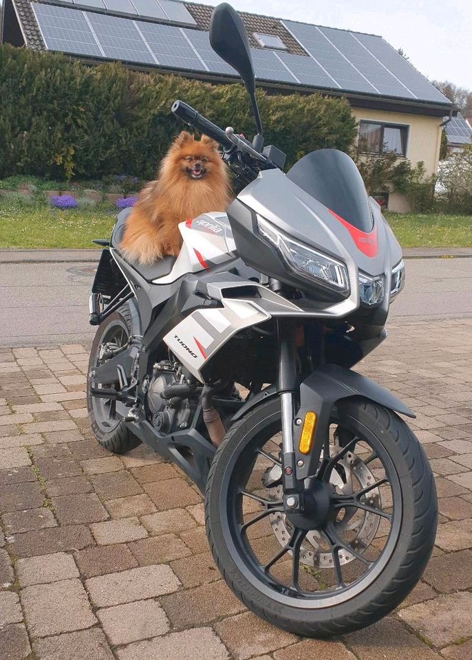 Aprilia tuono 125ccm weiß in Deißlingen