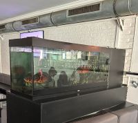 Aquarium  komplett Nordrhein-Westfalen - Neuss Vorschau