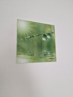 Glasbild Natur 30x30 cm, neuwertig Hessen - Amöneburg Vorschau