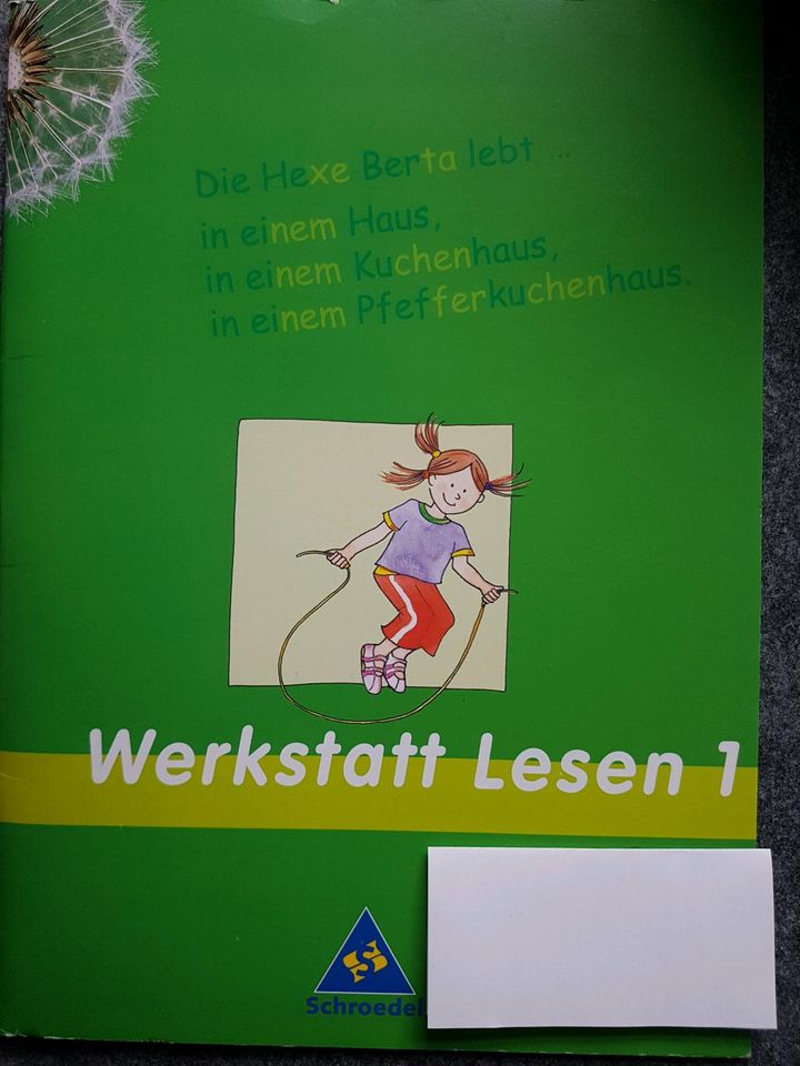 Werkstatt Lesen 1 Arbeitsheft ISBN 978-3-507-40910-1 in Bönningstedt
