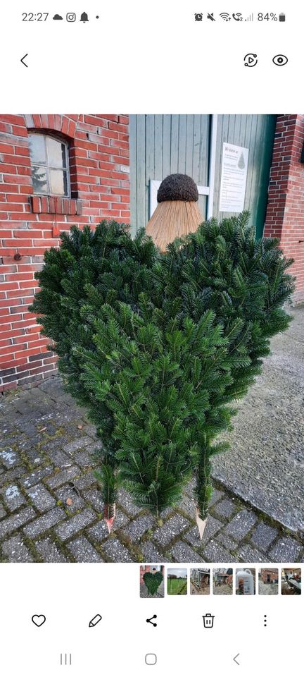 Girlanden Nordmanntannen Tannengrün Bögen Herzgestelle Gartenschm in Uplengen