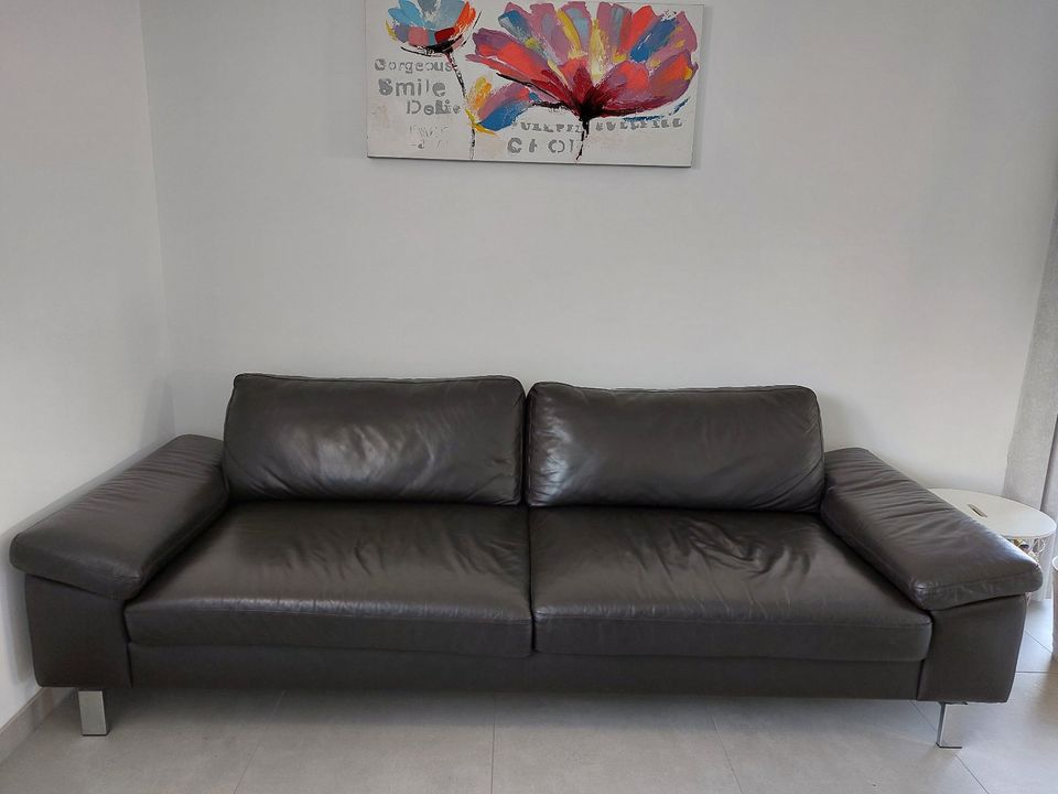 Polstergarnitur von Musterring, echtes Leder, mocca, MaXXi-Sofa in Herdorf