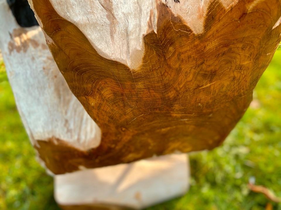 Nanoaquarium Teak Aquascaping Aquarium Sukkulenten Glaskugel in Essen