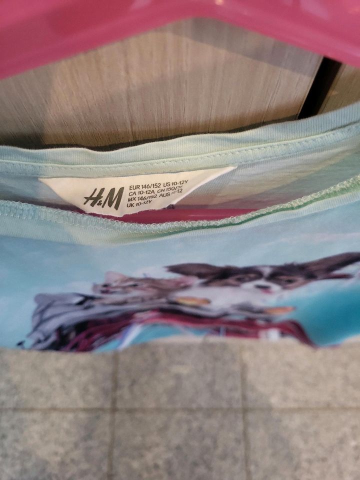 Neuwertiges T-Shirt H&M Gr. 146 in Niederzier