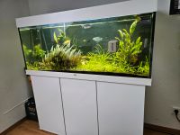 Juwel aquarium Nordrhein-Westfalen - Neuss Vorschau