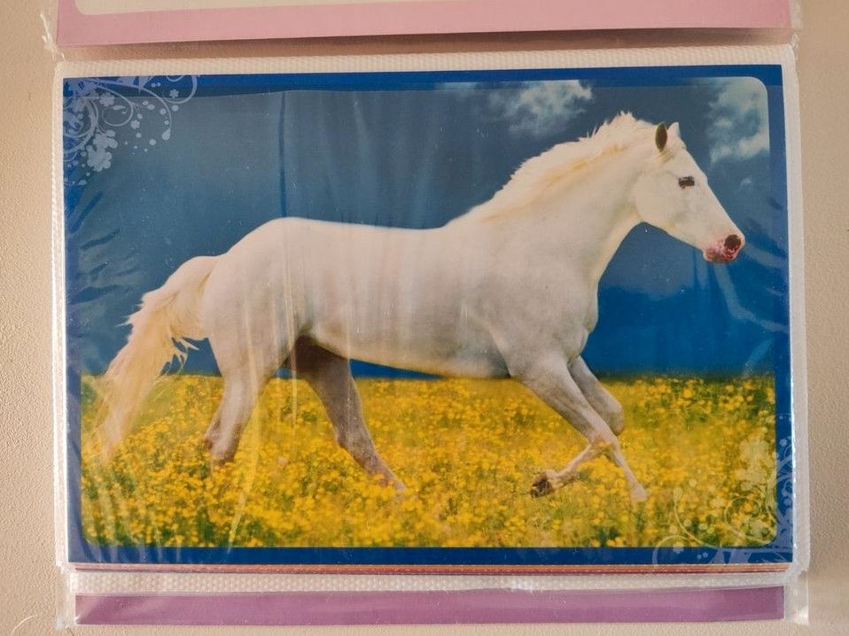 Buch Pferde Bücher Album Pferd Pony in Schlangen