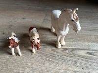 Schleich, Shire Stute 13735, Fohlen, Pony, Pferd, wie neu Niedersachsen - Buxtehude Vorschau