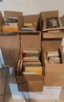 8 Kisten Bücher zu verschenken, ca.300 Bücher Niedersachsen - Hildesheim Vorschau