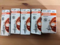 PKW Halogen Lampe Osram 4xH1 / 1xH7 - 12V 55W - neu Dresden - Neustadt Vorschau