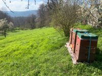 Bienenstandplatz Thüringen - Saalfeld (Saale) Vorschau