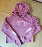 Pullover, puma, Gr. xs (164) Bayern - Rödental Vorschau