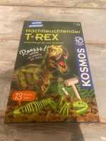 T-Rex Kosmos zum Ausgraben Hessen - Büttelborn Vorschau