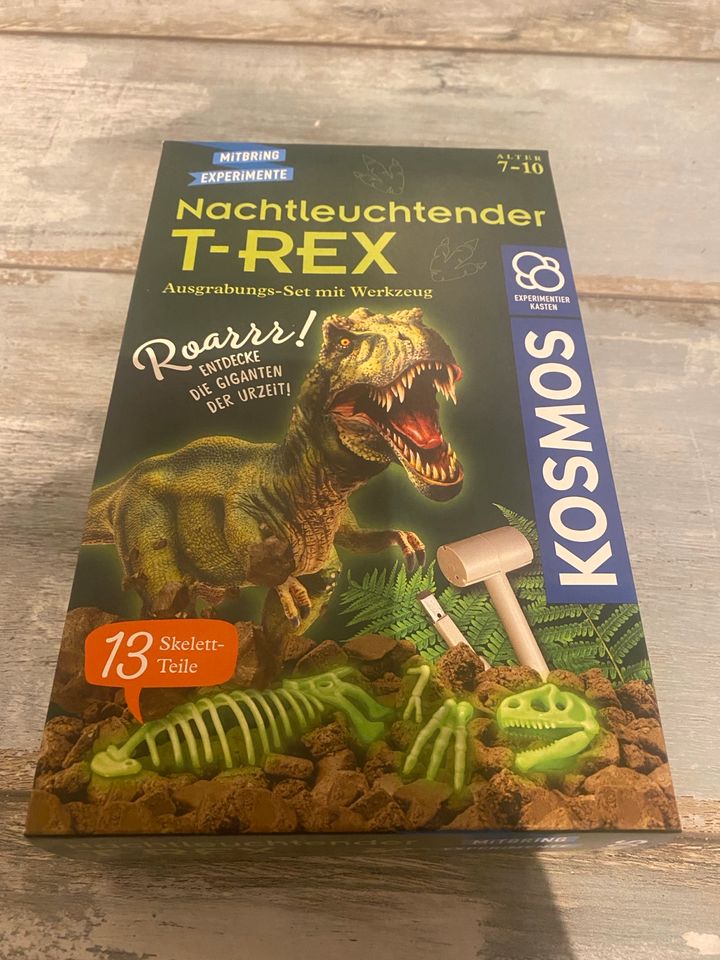 T-Rex Kosmos zum Ausgraben in Büttelborn