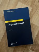 Ostendorf Jugendstrafrecht // Jura Mecklenburg-Vorpommern - Greifswald Vorschau