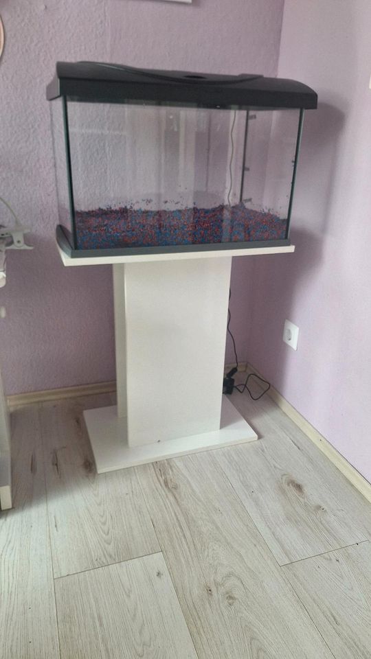 60 l Aquarium mit Unterschrank in Bad Wildbad