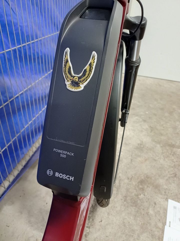 Falter E Bike 28 Zoll RH 50 CM Bosch 500WH Riemenantrieb in Berlin