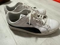 Puma Herrenschuh Baden-Württemberg - Mannheim Vorschau