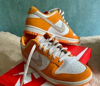 Nike Turnschuhe Schleswig-Holstein - Neumünster Vorschau