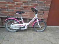 Pegasus Kinderfahrrad Niedersachsen - Thomasburg Vorschau