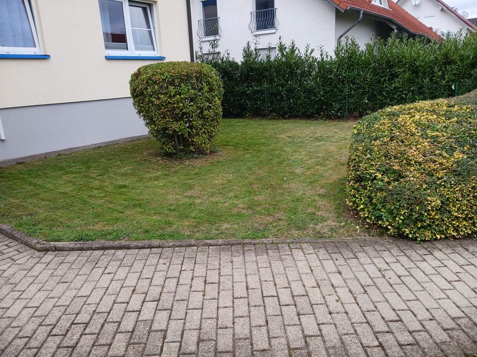 Gartenservice- Gartenpflege-Hausmeisterservice in Bad Emstal