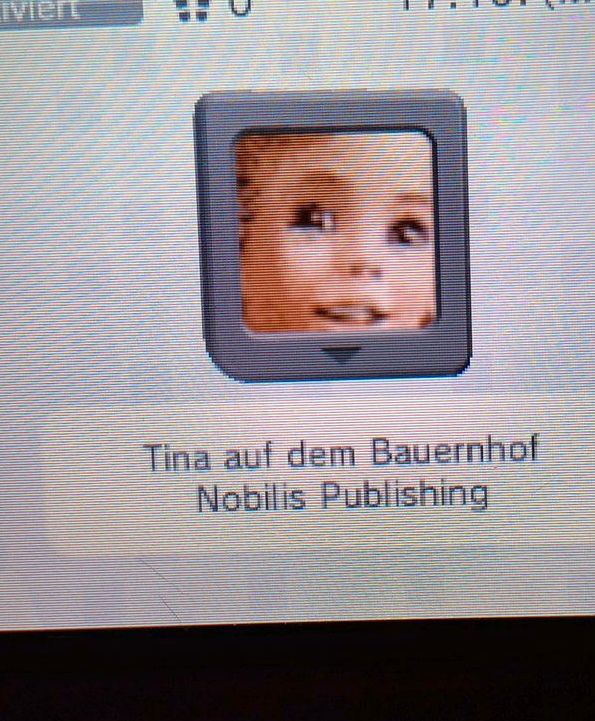 Nintendo DS Spiele in Wallmoden