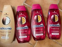 4x Schauma Shampoo Nordrhein-Westfalen - Moers Vorschau
