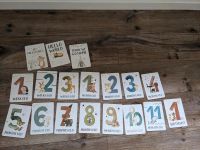 Milestone cards, Meilenstein, Hallo Baby Karten Englisch english Harburg - Hamburg Marmstorf Vorschau