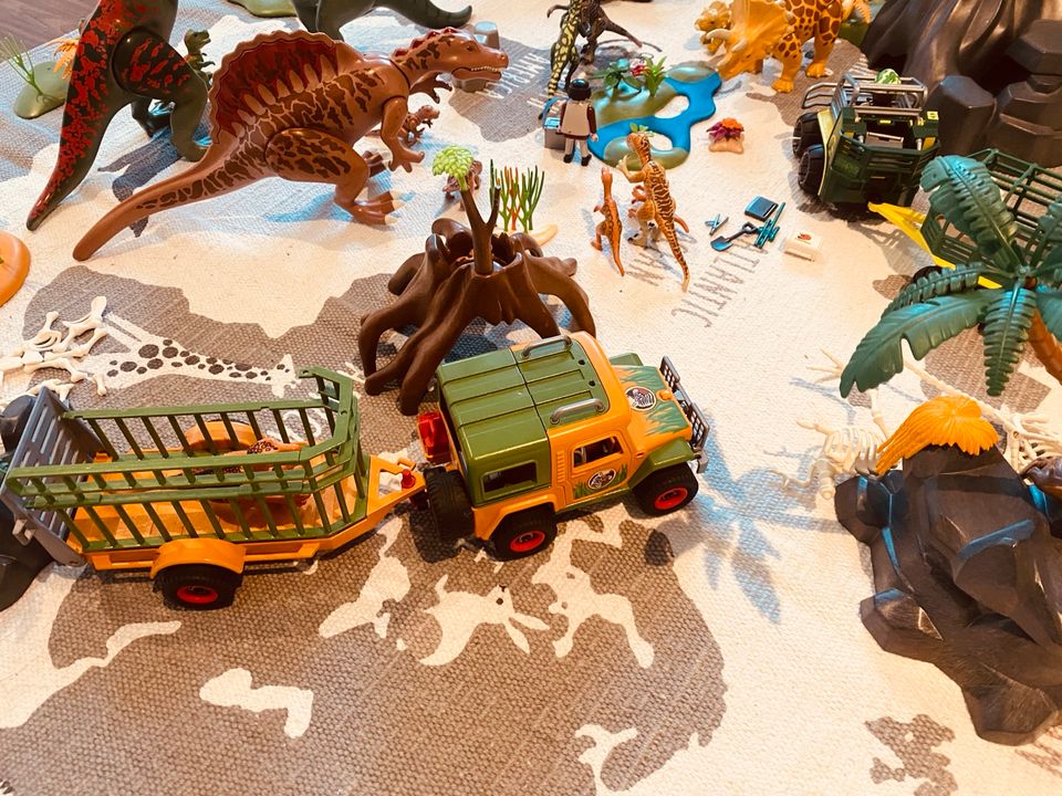 Riesen Playmobil Dino /Jurassic Park Sammlung in Prisdorf