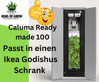 Caluma Readymade 100 I Plug & Play Grow-Kit Baden-Württemberg - Bretten Vorschau