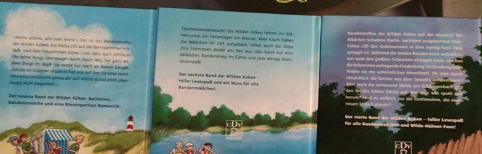 Kinderbuch Jugendbuch Die wilden Küken - 4 Bände in Burladingen