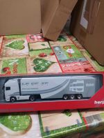 Herpa DAF XF Promotion grau Baden-Württemberg - Trochtelfingen Vorschau