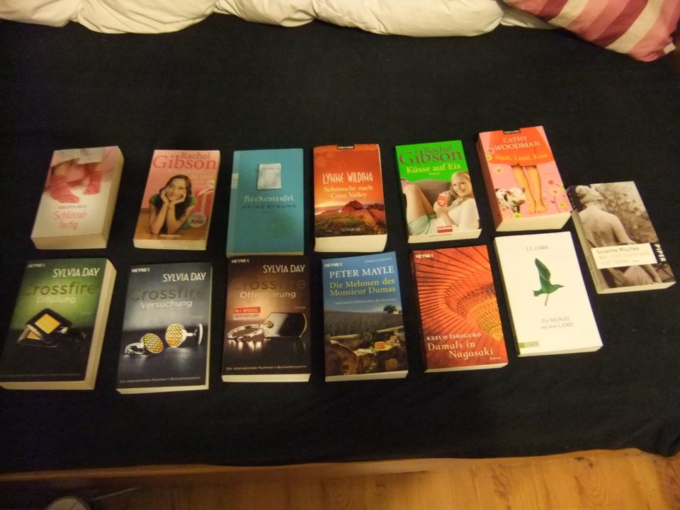 Romane Taschenbücher usw. ab 1 Euro in Bad Salzuflen