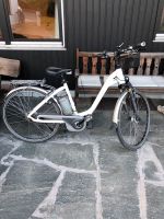 E-Bike Flyer Bayern - Lappersdorf Vorschau