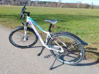 Fahrrad  BBF Mountainbike 27.5 Zoll -  Montana Bayern - Jettingen-Scheppach Vorschau