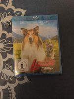 Lassie-Ein neues Abenteuer (DVD) Nordrhein-Westfalen - Euskirchen Vorschau