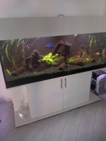 Aquarium 540L komplett Sachsen-Anhalt - Genthin Vorschau